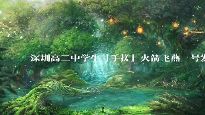 深圳高二中学生「手搓」火箭飞燕一号发射成功，突破 10KM 海拔高度，这属于什么水平？手搓火箭有多难？